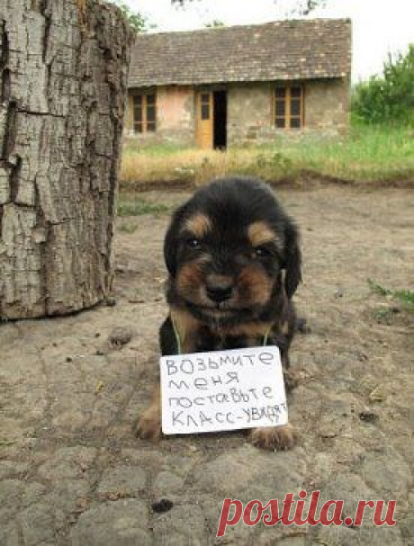 Пусть больше людей увидят эту милашку !...