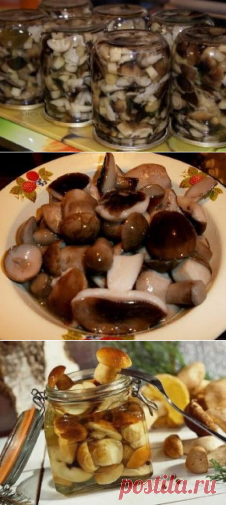 (3) Одноклассники