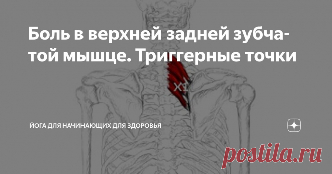 Боль в верхней задней зубчатой мышце. Триггерные точки Статья автора «Йога для начинающих для здоровья» в Дзене ✍:   Триггерные точки в верхней задней зубчатой мышце (musculus serratus posterior superior) представляют собой распространённую, но часто...
