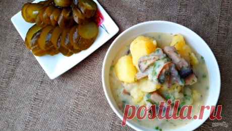 Картофель, тушенный в сметанном соусе с грибами - пошаговый рецепт с фото на Повар.ру
