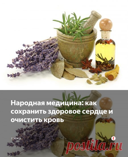 Народная медицина: как сохранить здоровое сердце и очистить кровь | !! ЗОЖ !! | Яндекс Дзен