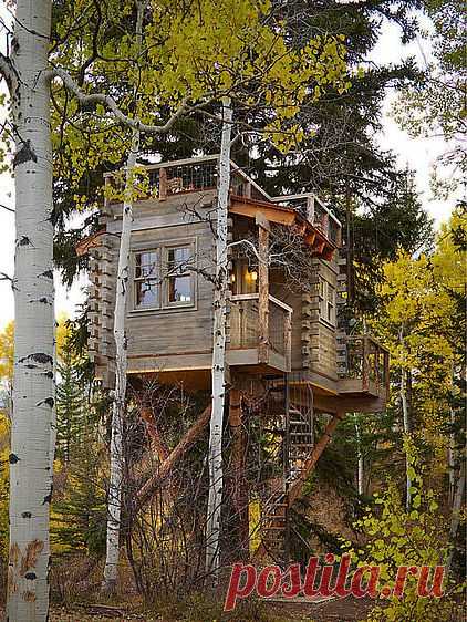 Swaying From Sleepovers to Dinner Parties in a Colorado Tree House