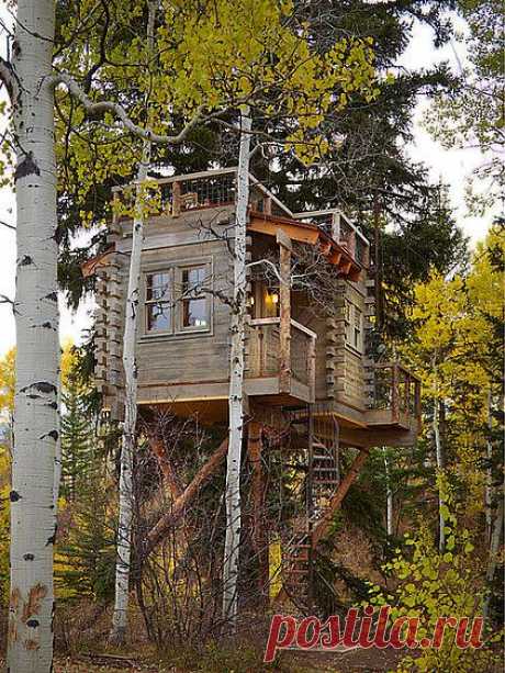 Swaying From Sleepovers to Dinner Parties in a Colorado Tree House
