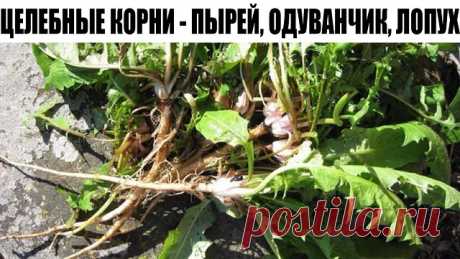 (5) Одноклассники