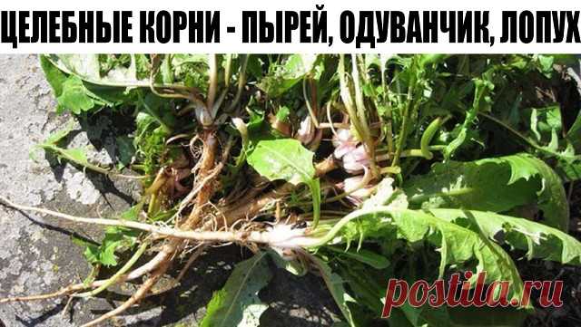 (5) Одноклассники