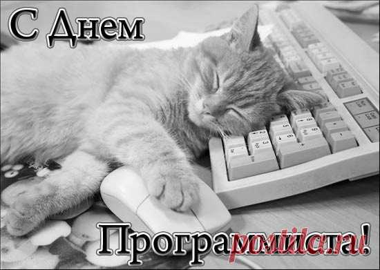 С Днем программиста Пусть в вашей жизни будет много побед и интересных программ, пусть будет много солнца и улыбок.