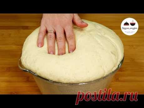 Вкуснейшее дрожжевое тесто на кефире
 Мука - 800 г
• Кефир - 500 мл
• Яйца - 2 шт.
• Дрожжи (сухие) - 10 г
• Соль- 0, 5 ч.л.
• Сахар - 1,5 ст.л.
• Растительное масло - 3 ст.л.