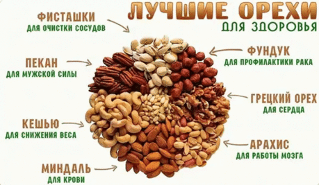 Орехи популярны во многих кухнях мира, а разнообразие блюд на ореховой основе поражает: всевозможные кондитерские изделия (торты, кексы, печенье), варенье, паста, масло, настойки, соусы. Орехами можно дополнять салаты, йогурты, мюсли, а также различные горячие блюда. Более того, орехи могут заменить целую трапезу – ими вполне можно позавтракать или перекусить во время полдника. Универсальный продукт! И очень полезный. 
Орехи богаты легкоусвояемыми белками, полезными жирами, витаминами и минерала