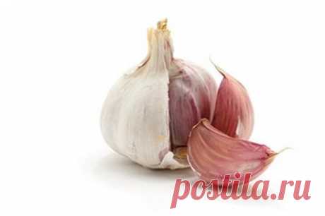Чеснок на английском — Garlic
