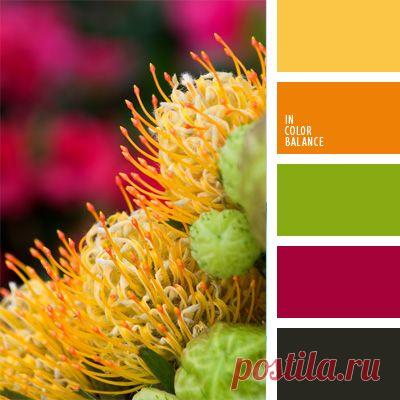 сочетание цветов