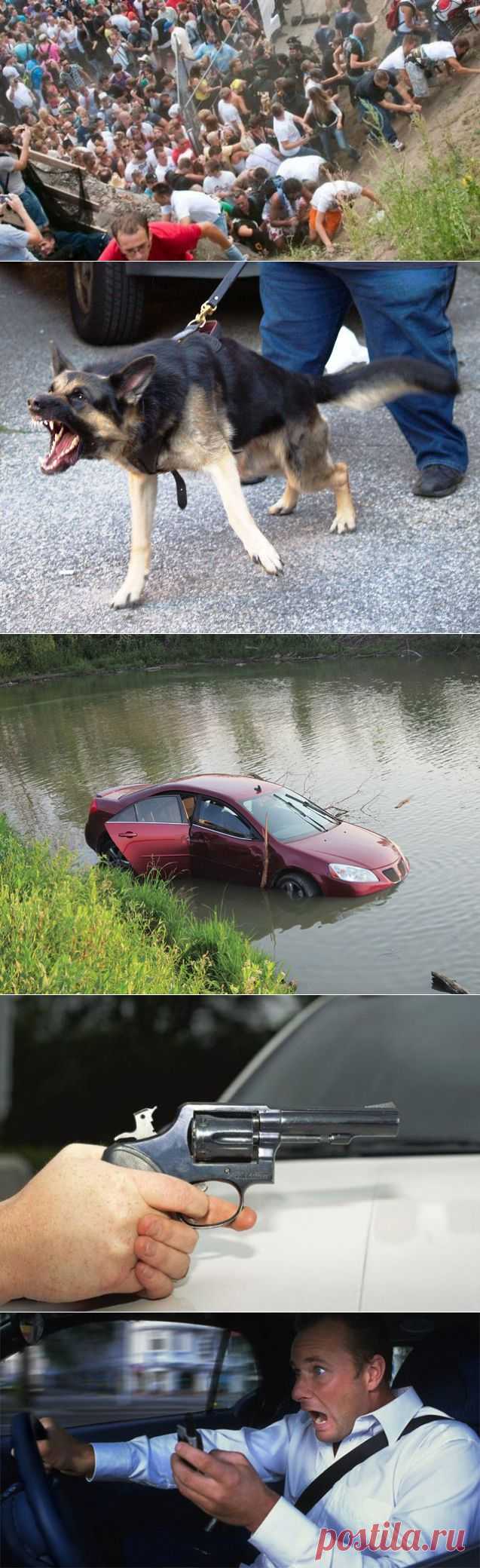 МОЯ БЕЗОПАСНОСТЬ | Записи в рубрике МОЯ БЕЗОПАСНОСТЬ | Дневник Мурочка_-_душечка