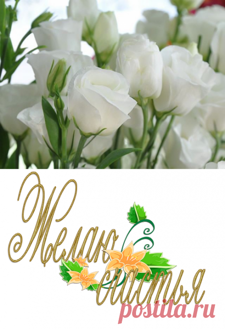 Плейкаст «БЕЛЫЕ РОЗЫ ДЛЯ ТЕБЯ !!!»