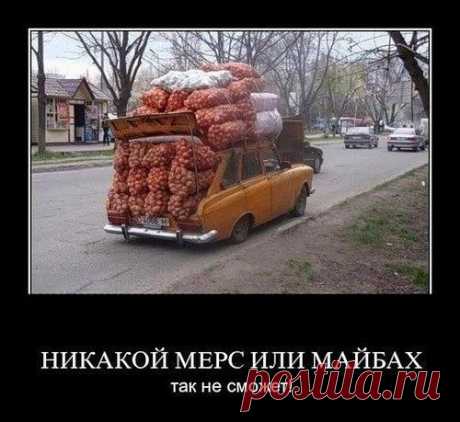 Интересные новости
