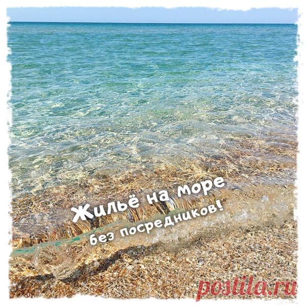 💙🐬🔥 в ВК появилась новая группа от собственников, где сдают жильё на Чёрном море без посредников, советую подписаться 👉🏻 ЖИЛЬЁ НА МОРЕ БЕЗ ПОСРЕДНИКОВ
Это видео о том, как я сдавала свою квартиру в Геленджике.
Я считаю, что если вы хотите сдать квартиру, то это отличный вариант.
Во первых, вы не платите посредникам, во вторых, вы можете сами контролировать процесс и не зависеть от разных людей, которые могут подвести.
В этом видео я рассказываю, какие документы нужны для сдачи квартиры, а такж…