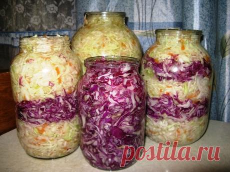 Когда солить капусту в 2017 году по лунному календарю. 
=
    в январе 2017 - 2, 3, 4, 5, 6, 7, 8, 9, 10, 11 и 31 января;
    в феврале 2017 - 1, 2, 3, 4, 5, 6, 7, 8, 9 февраля;
    в марте 2017 - 2, 3, 4, 5, 6, 7, 8, 9,10, 11 и 31 марта;
    в апреле 2017 - 1, 2, 3, 4, 5, 6, 7, 8, 9 и 30 апреля;
    в мае 2017 - 1, 2, 3, 4, 5, 6, 7, 8, 9, 29 и 31 мая;
    в июне 2017 - 1, 2, 3, 4, 5, 6, 7, 28, 29, 30 июня;
    в июле 2017 - 1, 2, 3, 4, 5, 6, 7, 27, 28, 29, 30 и 31 июля;