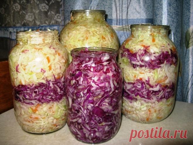 Когда солить капусту в 2017 году по лунному календарю. 
=
    в январе 2017 - 2, 3, 4, 5, 6, 7, 8, 9, 10, 11 и 31 января;
    в феврале 2017 - 1, 2, 3, 4, 5, 6, 7, 8, 9 февраля;
    в марте 2017 - 2, 3, 4, 5, 6, 7, 8, 9,10, 11 и 31 марта;
    в апреле 2017 - 1, 2, 3, 4, 5, 6, 7, 8, 9 и 30 апреля;
    в мае 2017 - 1, 2, 3, 4, 5, 6, 7, 8, 9, 29 и 31 мая;
    в июне 2017 - 1, 2, 3, 4, 5, 6, 7, 28, 29, 30 июня;
    в июле 2017 - 1, 2, 3, 4, 5, 6, 7, 27, 28, 29, 30 и 31 июля;