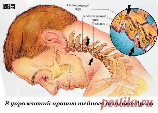 Друзья пользователя мария, Чебоксары, 50 лет