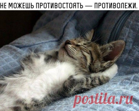 8 сообществ, на которые стоит подписаться: 
vk.com/1poetry - Стихи и литература 
vk.com/filmadvice - Всё о кино 
vk.com/stereonews - Отличная музыка
vk.com/ifenechka - Красота своими руками
vk.com/designilike - Дизайн, креатив, идеи интерьеров
vk.com/bonvoyager - Идеи путешествий и красивые места
vk.com/1woman - Подними себе настроение
vk.com/dailywords - Учим английский весело
