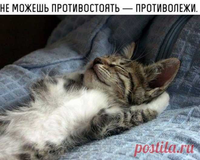 8 сообществ, на которые стоит подписаться: 
vk.com/1poetry - Стихи и литература 
vk.com/filmadvice - Всё о кино 
vk.com/stereonews - Отличная музыка
vk.com/ifenechka - Красота своими руками
vk.com/designilike - Дизайн, креатив, идеи интерьеров
vk.com/bonvoyager - Идеи путешествий и красивые места
vk.com/1woman - Подними себе настроение
vk.com/dailywords - Учим английский весело