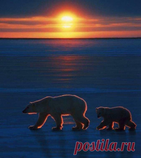(17) Facebook