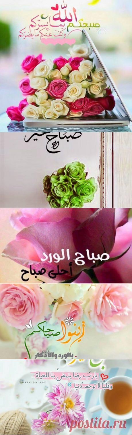 اجمل صباح الخير دعاء مسجات ورسائل دينية جميلة - سيدات مصر