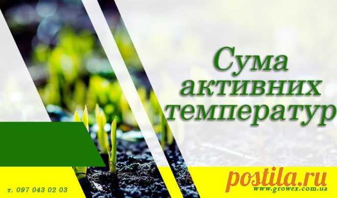 Как посчитать сумму активных температур для каждого сорта и растения? Мы расскажем вам о факторе, от которого напрямую зависит вегетация растений, их своевременное ветвления и кущения. Поэтому поговорим с вами о сумме активных температур.Существует оптимальная температура, при которой происходят всходы и начинается вегетация. У каждой культуры этот минимум...