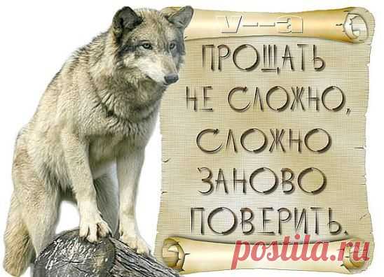 Однокласники