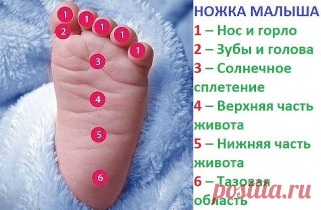 Ножка малыша

Мягко массируя определенную зону на детской стопе, 
Вы успокоите своего малыша, если у него что-то болит:
1 – Нос и горло
2 – Зубы и голова
3 – Солнечное сплетение
4 – Верхняя часть живота
5 – Нижняя часть живота
6 – Тазовая область
#ПолезныеСоветы