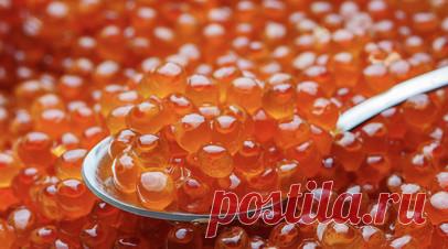 Доцент Быстров посоветовал выбирать красную икру с указанием места вылова. Доцент кафедры индустрии питания, гостиничного бизнеса и сервиса Университета РОСБИОТЕХ Дмитрий Быстров рекомендовал выбирать красную икру с указанием места вылова на упаковке. Читать далее