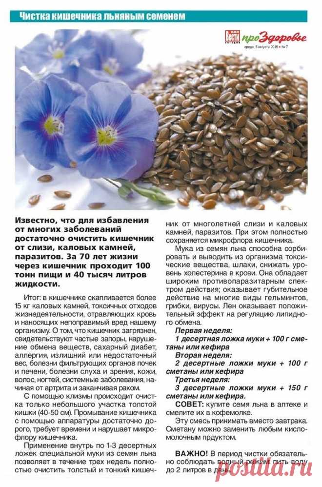 Чистка кишечника льняным семенем