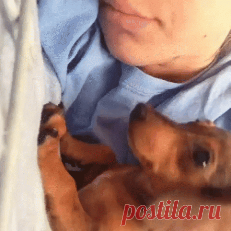 С хозяином уютней :)