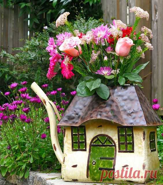 Эммануил Кожариков | УОЛ