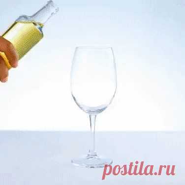 Чудеса науки. Чудеса науки. Удиви детей