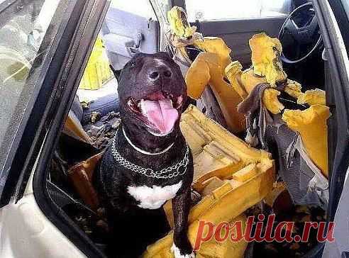 Ты ушел, а я скучал!