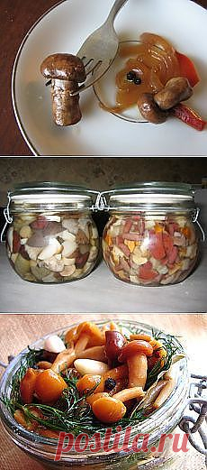 Найдено на сайте postila.ru.