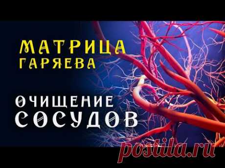 Матрица Гаряева Мощная Очистка Сосудов Всего Тела ☀️ Квантовое исцеление звуком