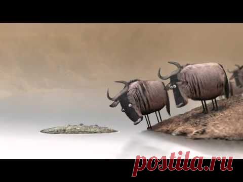 ПЯТЬ ПРИЗНАКОВ ТОГО, ЧТО ВЫ ПРАВЫ.