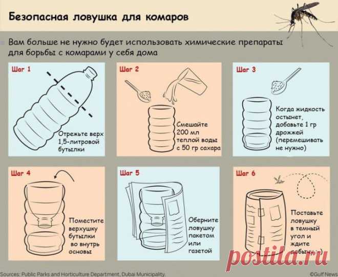 (+1) - Как самостоятельно сделать безвредную ловушку для комаров | СДЕЛАЙ САМ!