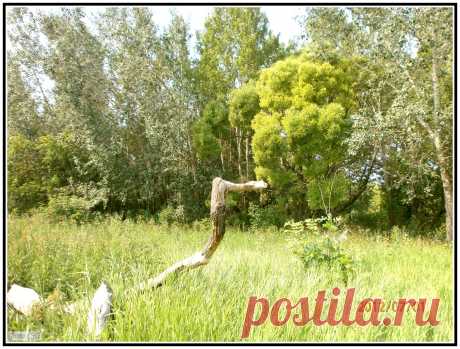 P7010003