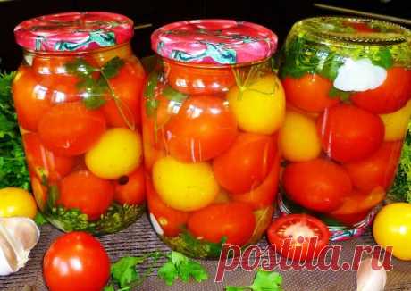 Очень вкусные маринованные помидоры на зиму