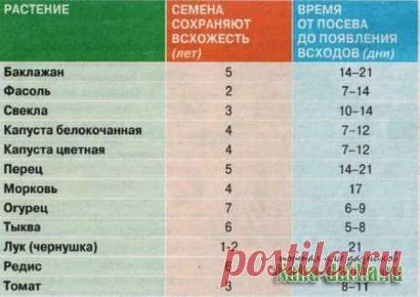 «От худого семени не жди доброго племени» - Садоводка