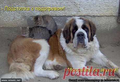 кому-то грелка....кому-то массаж......