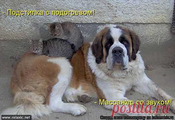 кому-то грелка....кому-то массаж......