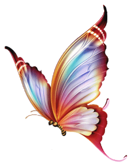 papillons