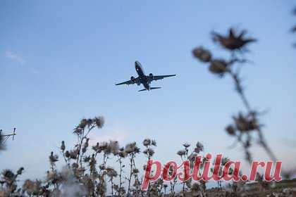 Россия оказалась одной из самых спокойных для полетов на самолете стран. Россия оказалась в самом конце рейтинга стран, в воздушном пространстве которых самолеты чаще всего сталкивались с турбулентностью в январе 2024 года. РФ заняла 170-ю строчку с показателем скорости рассеивания турбулентных вихрей (edr) в 7,6, тем самым став одним из самых спокойных для полетов на самолете государств.