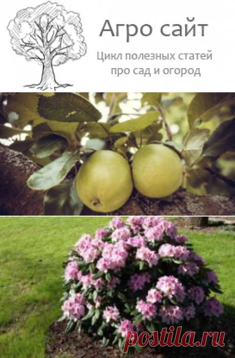 Тепло и свет в сельском хозяйстве