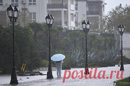 Тысячи жителей Сочи остались без света из-за непогоды. В Сочи более 11 тысяч человек остались без света после повреждения линии электропередачи (ЛЭП) из-за непогоды. Электроснабжение нарушилось в четырех районах курортного города после того, как сильный ветер повредил провода. Кроме того, ветер сорвал крыши с восьми жилых домов, их жители отказались от расселения.