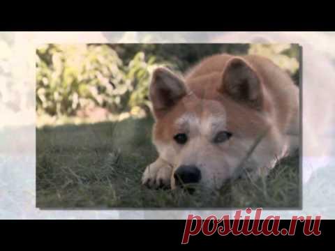 ВЫ УДИВИТЕСЬ...