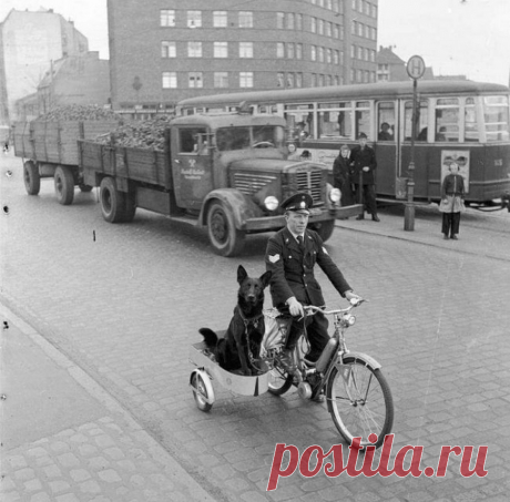 Подборка редких исторических фотографий | Чёрт побери На этих снимках запечатлены интересные исторические моменты, любопытные многим из нас. На Черкизовском рынке, 1990–е годы, Москва  Индеец смотрит на построенный участок Tрансконтинентальной железной дороги, 1868 год, США  Джон Митчелл разговаривает на улице по мобильному телефону первой модели Motorola DynaTAC, 1973 год, США  Однажды укушенный: Олимпиада, Афган и японская куртка, 19 июля 1980 года, Москва, СССР  Альберт...