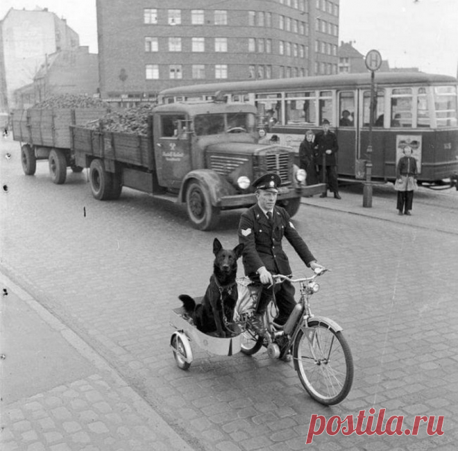 Подборка редких исторических фотографий | Чёрт побери На этих снимках запечатлены интересные исторические моменты, любопытные многим из нас. На Черкизовском рынке, 1990–е годы, Москва  Индеец смотрит на построенный участок Tрансконтинентальной железной дороги, 1868 год, США  Джон Митчелл разговаривает на улице по мобильному телефону первой модели Motorola DynaTAC, 1973 год, США  Однажды укушенный: Олимпиада, Афган и японская куртка, 19 июля 1980 года, Москва, СССР  Альберт...